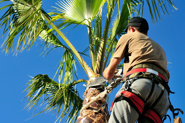 Interior and Exterior Remodeling