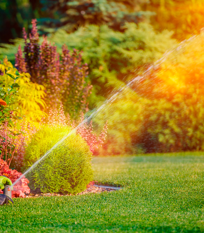 Commitment to Quality